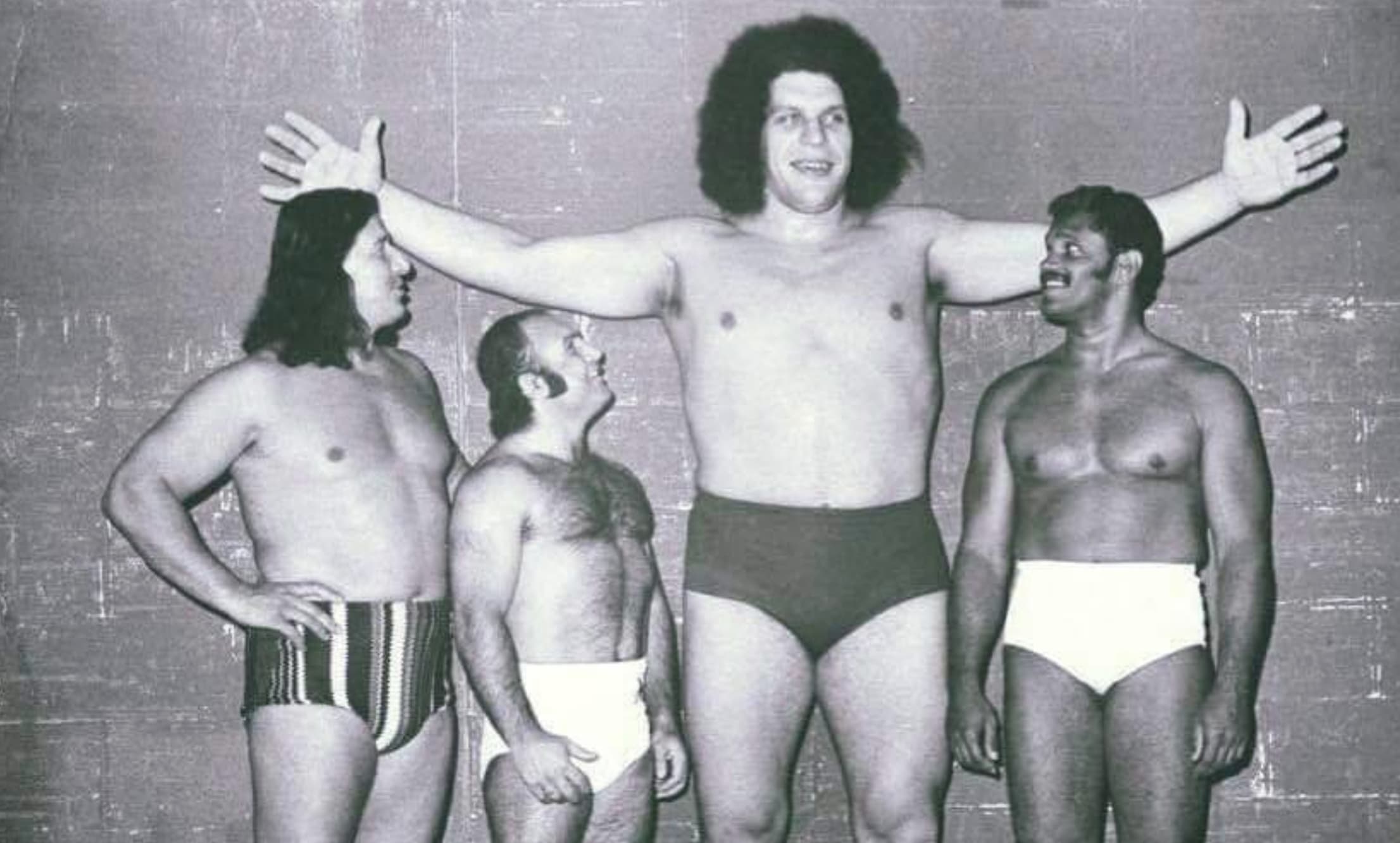 andré the giant